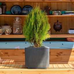 IDEALIST Lite Vertical Ribbed Square Effect Outdoor Planter
