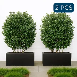 Set of 2 IDEALIST Lite Trough Garden Planters, Light Concrete Outdoor Large Plant Pots
