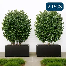 Set of 2 IDEALIST Lite Trough Garden Planters, Light Concrete Outdoor Large Plant Pots