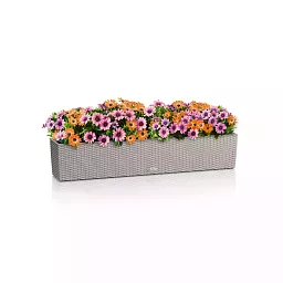 LECHUZA BALCONERA Cottage Trough Poly Resin Self-watering Planter