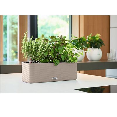 LECHUZA CUBE Color Triple Trough Poly Resin Self-watering Planter