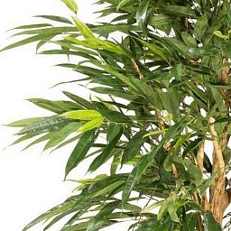 LONGIFOLIA ROYAL Artificial Tree Plant