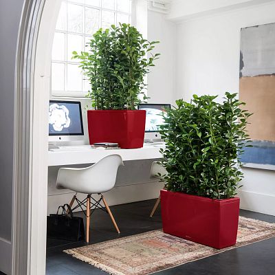 LECHUZA CARARO Trough Poly Resin Self-watering Planter