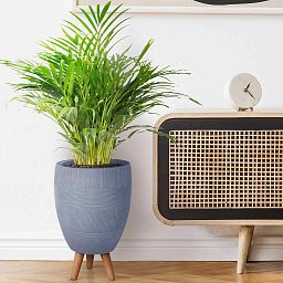 IDEALIST Lite Striped Egg Planter on Legs, Round Pot Plant Stand Indoor