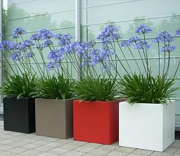 PURE Cube Outdoor Fiberglass Planter