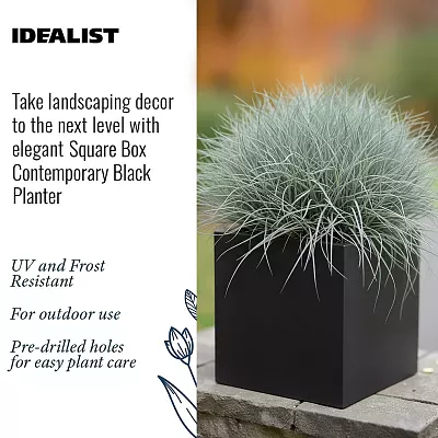 IDEALIST Lite Square Box Contemporary Light Concrete Planter