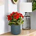 Plaited Style Table and Hanging Cylinder Round Plant Pot Dual Use Indoor Planter by Idealist Lite
