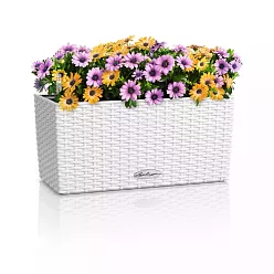 LECHUZA BALCONERA Cottage Trough Poly Resin Self-watering Planter