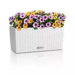 LECHUZA BALCONERA Cottage Trough Poly Resin Self-watering Planter