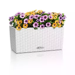 LECHUZA BALCONERA Cottage Trough Poly Resin Self-watering Planter