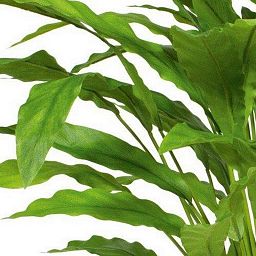 CALATHEA Artificial Flower Plant