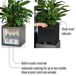 LECHUZA CANTO Low Square Poly Resin Self-watering Planter