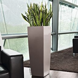LECHUZA CUBICO ALTO Square Tall Poly Resin Self-watering Planter