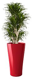 Dracaena Reflexa Anita in LECHUZA DELTA Self-watering Planter, Total Height 180 cm