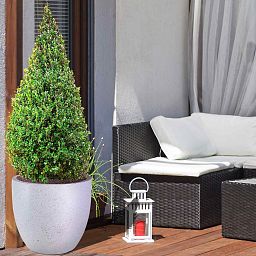 IDEALIST Lite Contemporary Light Concrete Egg Planter