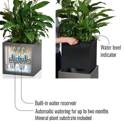 LECHUZA CANTO Low Square Poly Resin Self-watering Planter