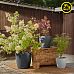 LECHUZA CLASSICO Color ECO Round PCR Plastic Self-watering Planter