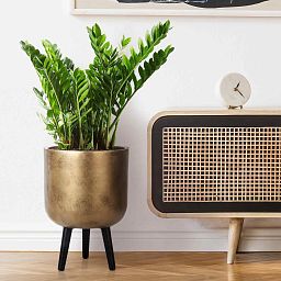 IDEALIST Lite Round Planter on Legs, Round Pot Plant Stand Indoor