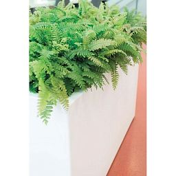 PREMIUM BLOCK Room Divider Trough Plastic Planter