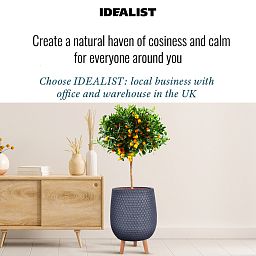 IDEALIST Lite Honeycomb Style Egg Planter on Legs, Round Pot Plant Stand Indoor