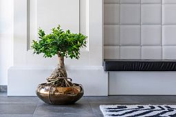Ceramic Bowl Lined Glossy Planter Pot In/Out