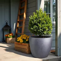 IDEALIST Lite 30cm Garden Planter | Dark Grey Washed Light Concrete Eg...