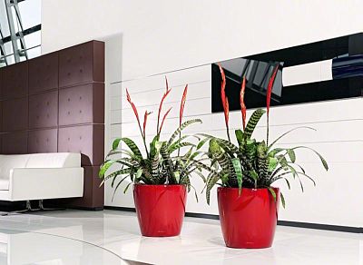 LECHUZA CLASSICO LS Round Poly Resin Self-watering Planter