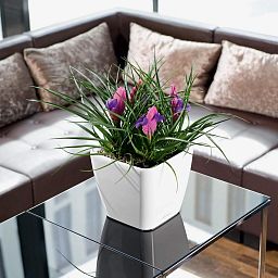 LECHUZA QUADRO Square Poly Resin Planter Only