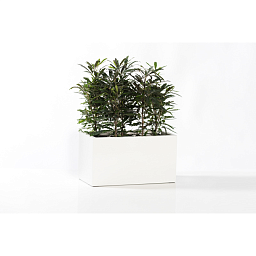 Fibrestone Jort Rectangle Planter by Idealist Premium