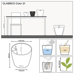 LECHUZA CLASSICO Color Round Poly Resin Self-watering Planter