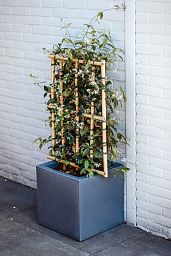 Square Resin Planter by Cadix Capi Tutch