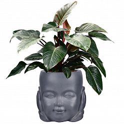 Baby Monk Hear No Evil Oval Face Plant Pot Indoor by Idealist Lite
