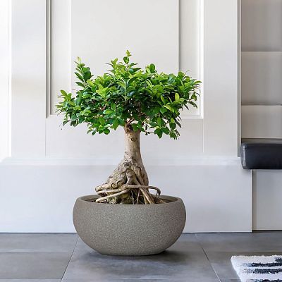 IDEALIST Lite Textured Concrete Effect Bowl Outdoor Planter