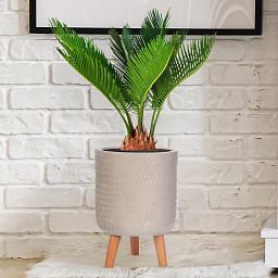 IDEALIST Lite Plaited Style Cylinder Planter on Legs, Round Pot Plant Stand Indoor