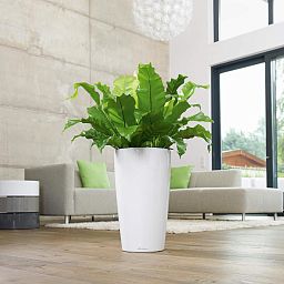 LECHUZA Rondo Round Tall Poly Resin Self-watering Planter