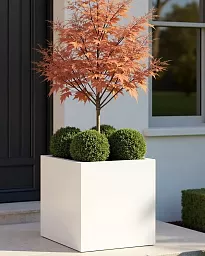 IDEALIST Lite Square Box Contemporary Light Concrete Planter