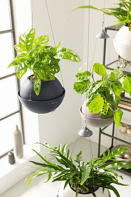 LECHUZA BOLA Color Round Poly Resin Self-watering Planter