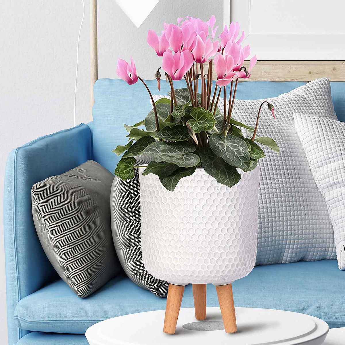 Honeycomb Style Cylinder Planter on Legs, Round Pot Plant Stand Indoor by Idealist Lite