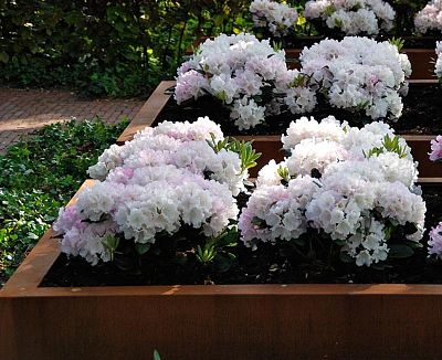 Andes Outdoor Corten Steel Square Planter