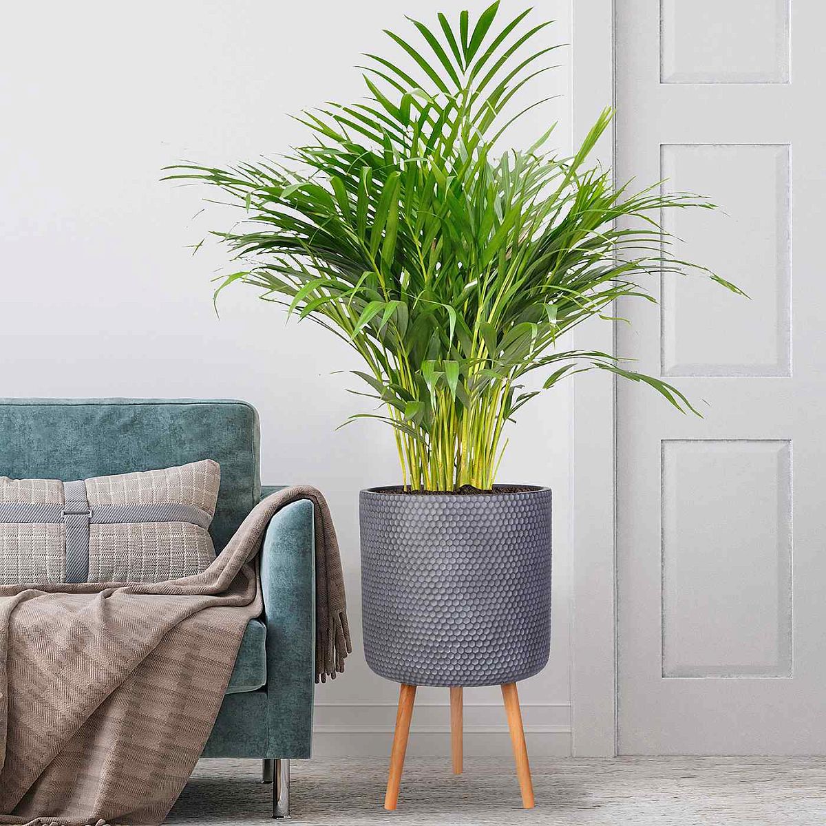 Honeycomb Style Cylinder Planter on Legs, Round Pot Plant Stand Indoor by Idealist Lite