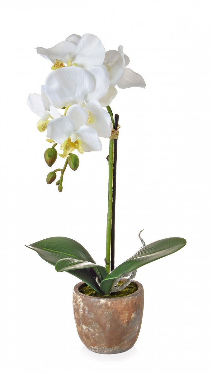 AN-Victoria Orchid in Pot White Artificial Flower Plant