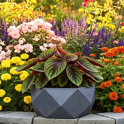 IDEALIST Lite Faceted Effect Bowl Planter Indoor Plant Pot