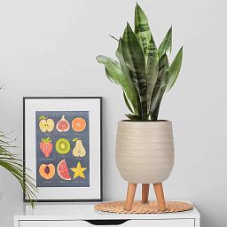 IDEALIST Lite Plaited Style Egg Planter on Legs, Round Pot Plant Stand Indoor