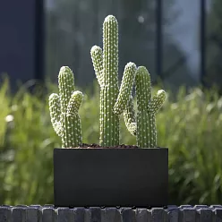 WINDOW BOX Fiberstone Planter by Idealist Premium Balcony