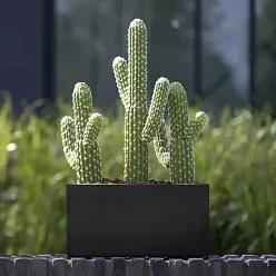 WINDOW BOX Fiberstone Planter by Idealist Premium Balcony