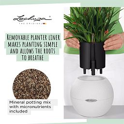 LECHUZA PURO Color Round Poly Resin Self-watering Planter