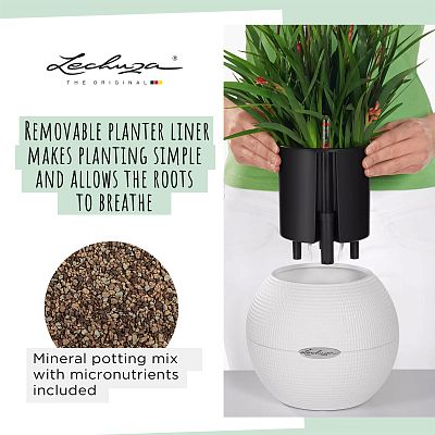 LECHUZA PURO Color Round Poly Resin Self-watering Planter