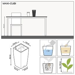 LECHUZA CUBI Square Poly Resin Indoor Self-watering Planter