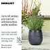 IDEALIST Lite Leaf Embossed Egg Planter