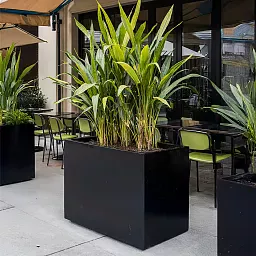 IDEALIST Lite Contemporary Light Concrete Trough Planter